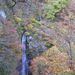 20051119_oyanagawatrip_017
